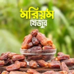 মরিয়ম খেজুর (Maryam Dates) – 1KG
